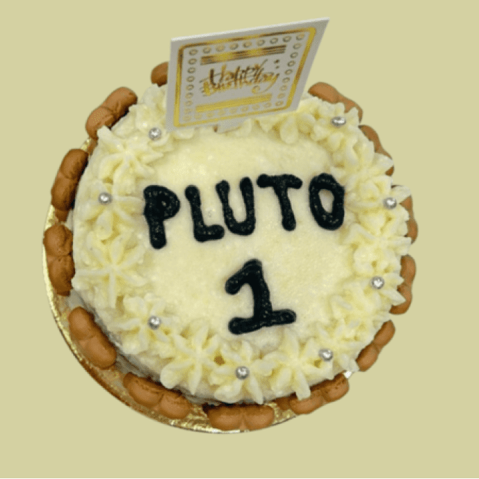 Dog birthday cake with banana peanut butter frosting and "Pluto 1" written on top