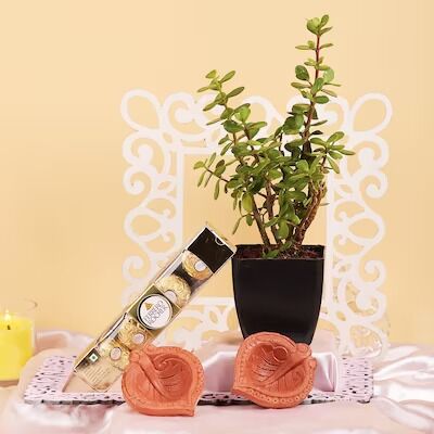 Diwali Ganesha Nutty Affection Hamper