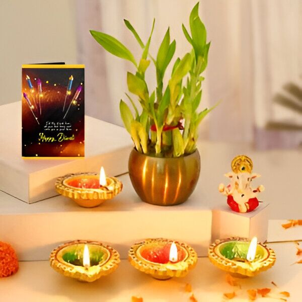 Bamboo Plant Diwali Vibes Combo