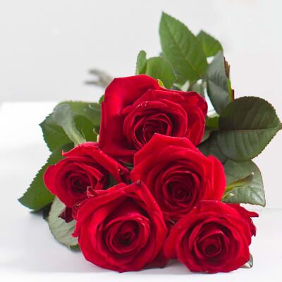 5 roses bouquet