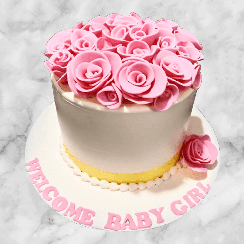 welcome baby girl cake
