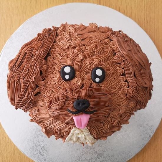 cavapoo face cake design