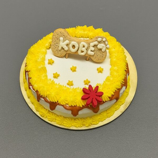 Dog Bone Cake with Name