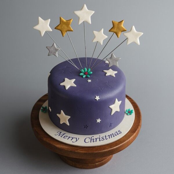 starry christmas cake