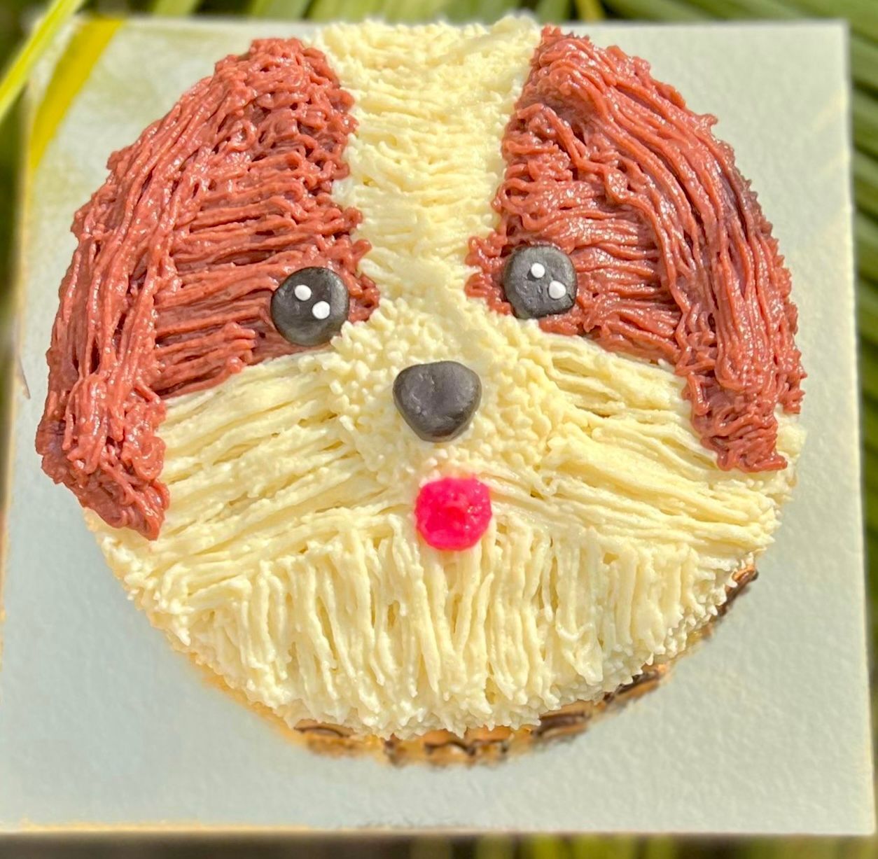Shihtzu Face Cake Design