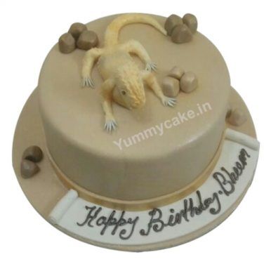 Chameleon Cake Online