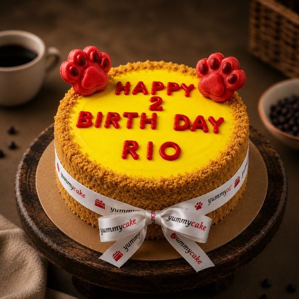 sunshine woof cake for dog