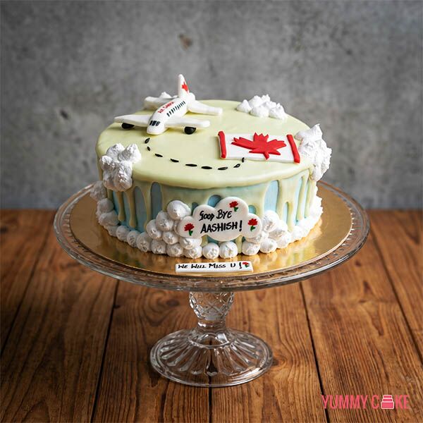 Bon Voyage Cake