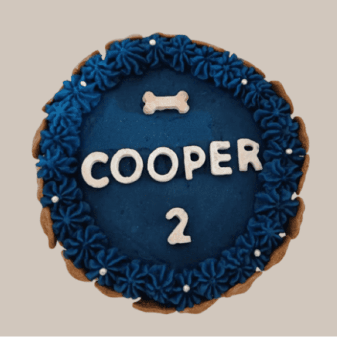 Blue dog birthday cake with bone decoration and name "Cooper"