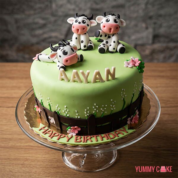 Cow Theme Cake
