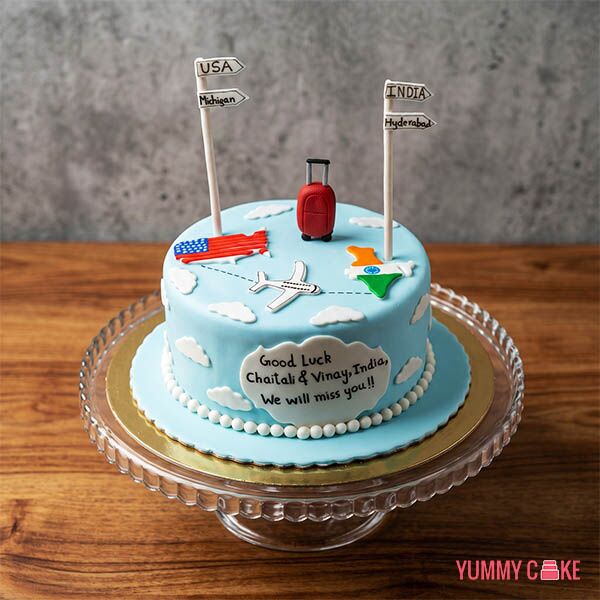 Flying USA to India Cake