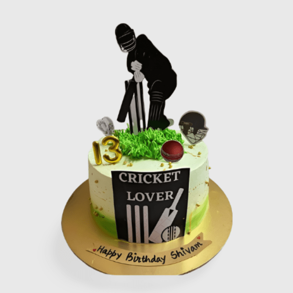 unique cricket theme cake