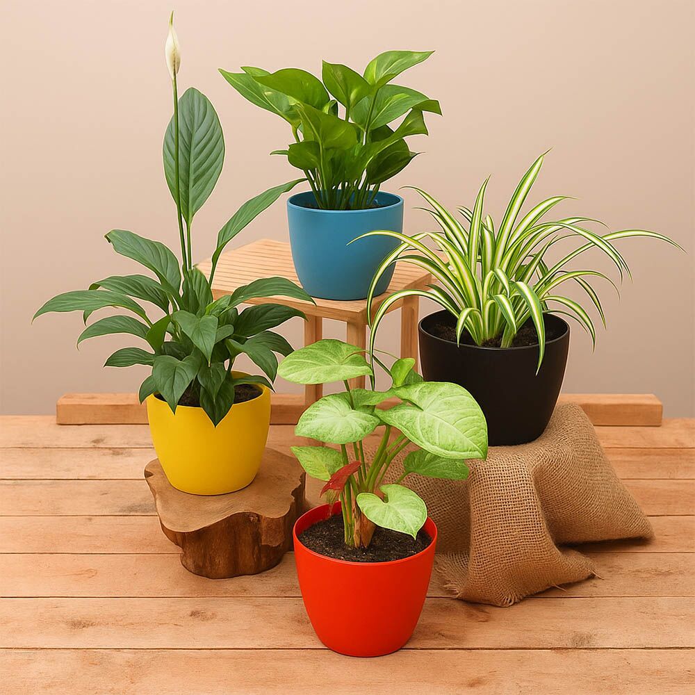Vibrant Room Decor Green Indoor Plants Set of 4