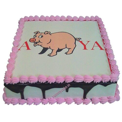 square shaped piggy cake online